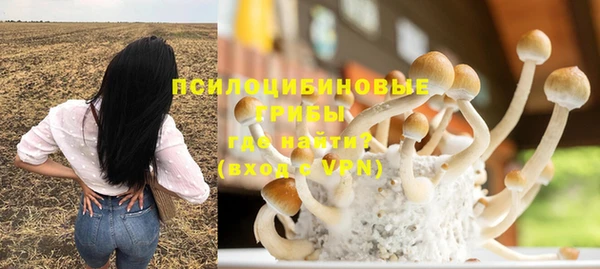 МДПВ Арсеньев