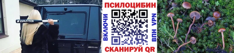 даркнет сайт  Старая Купавна  Псилоцибиновые грибы Cubensis 