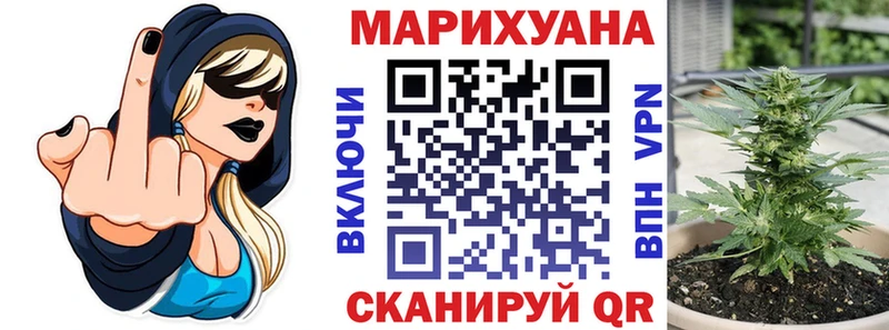 сколько стоит  Старая Купавна  Бошки марихуана план 